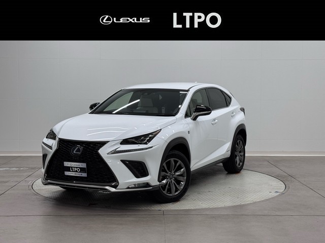 NX300h F SPORT