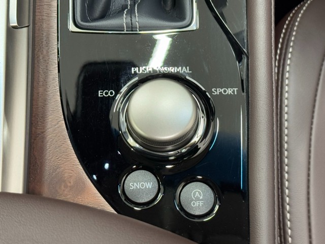 レクサス GS300 I-PKG