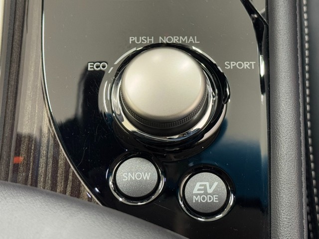 レクサス GS300h Iパッケージ