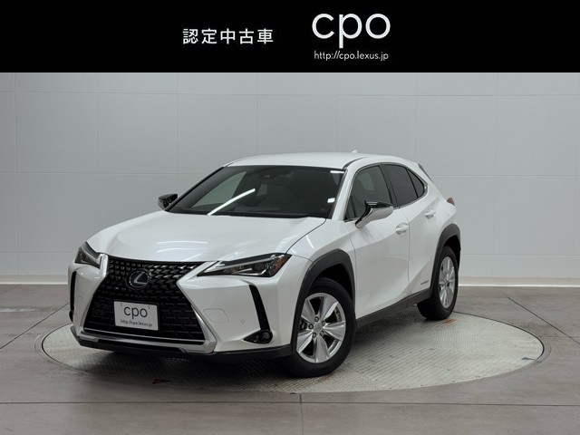 UX250h バージョンC