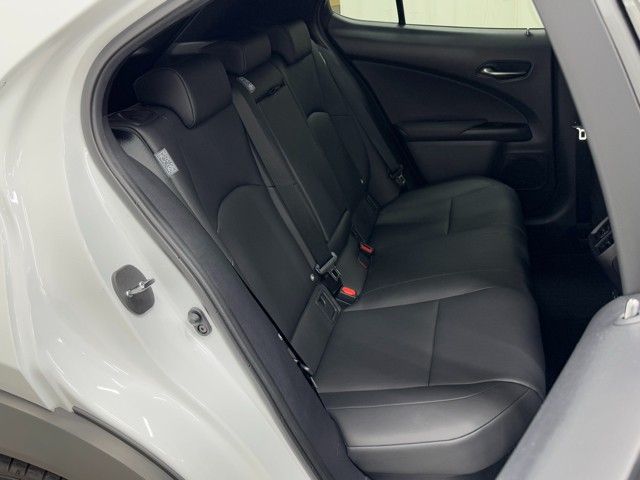 レクサス UX250h FSPORT