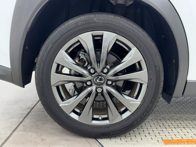 レクサス UX250h FSPORT