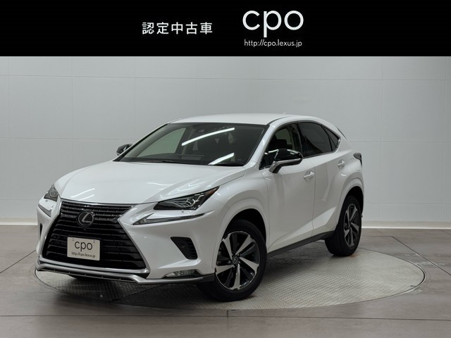 NX300 スパイク&シック