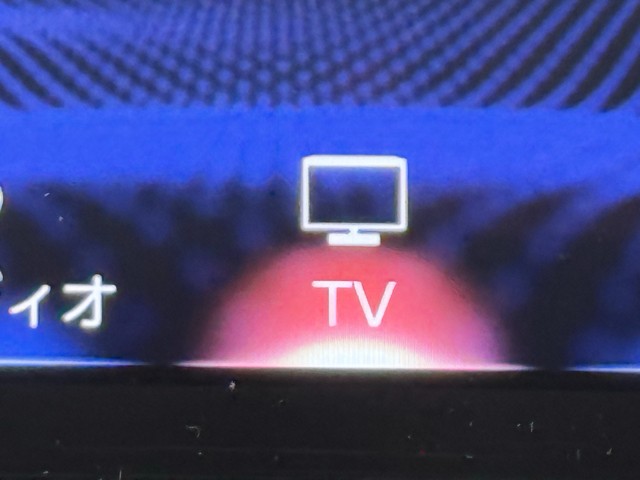 レクサス NX300 スパイク&シック