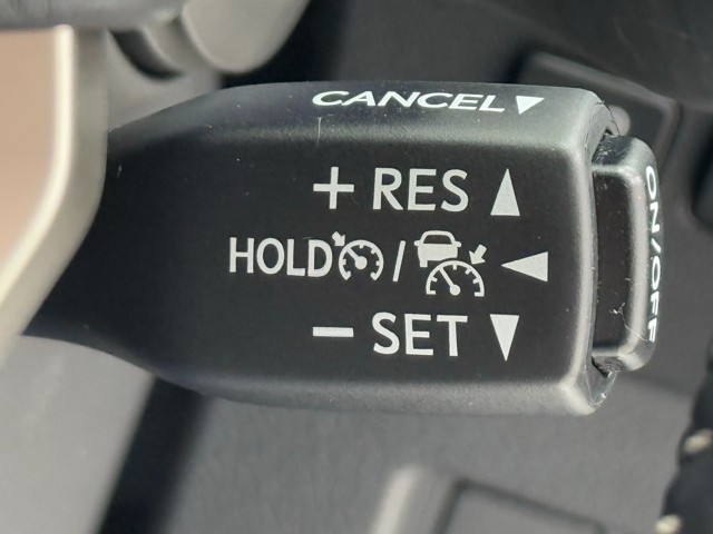 レクサス NX300 スパイク&シック