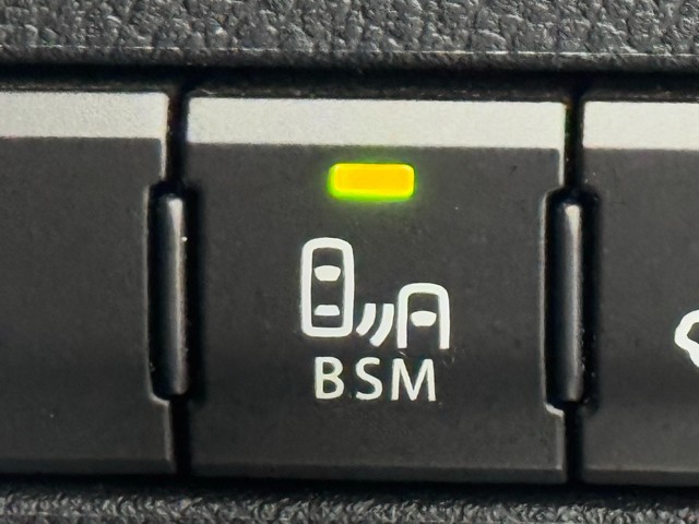 レクサス NX300 スパイク&シック