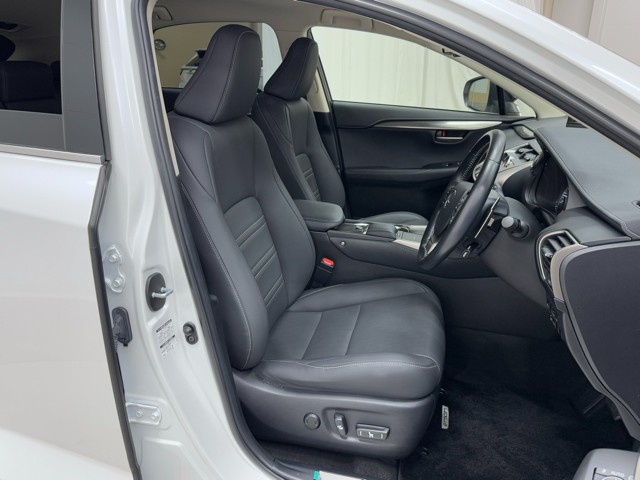 レクサス NX300 スパイク&シック