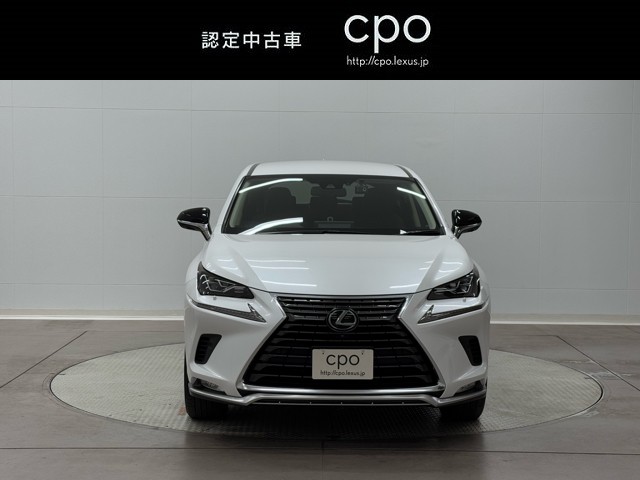 レクサス NX300 スパイク&シック