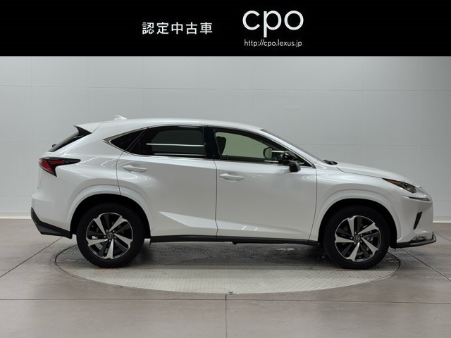 レクサス NX300 スパイク&シック