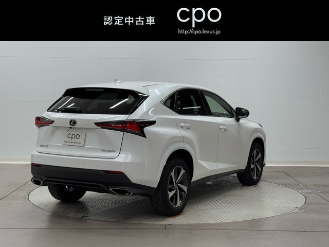 レクサス NX300 スパイク&シック