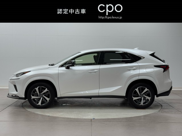 レクサス NX300 スパイク&シック