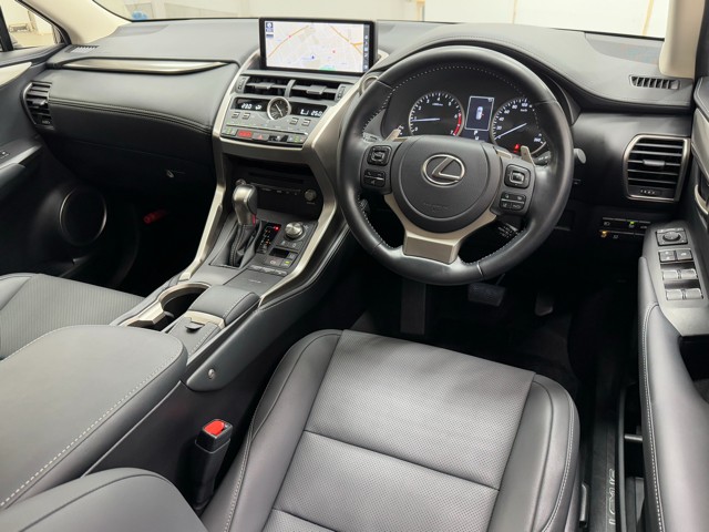 レクサス NX300 スパイク&シック