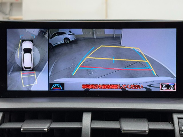 レクサス NX300 スパイク&シック