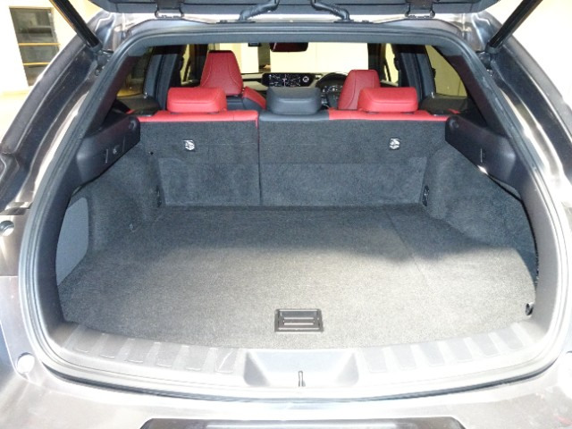 レクサス UX250h F SPORT