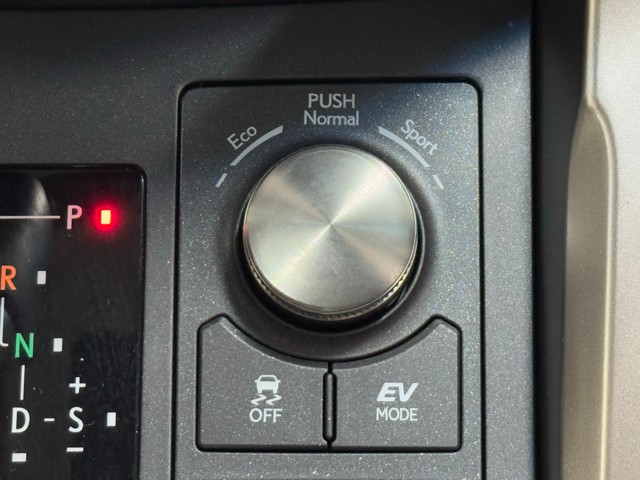 レクサス NX300h ブラックシークエンス
