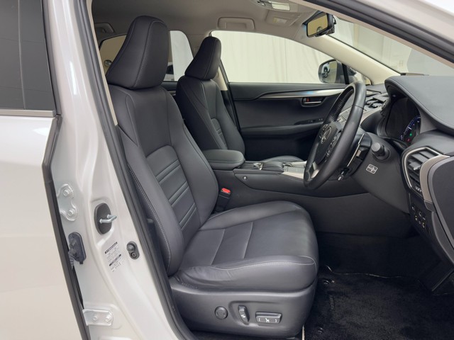 レクサス NX300h ブラックシークエンス
