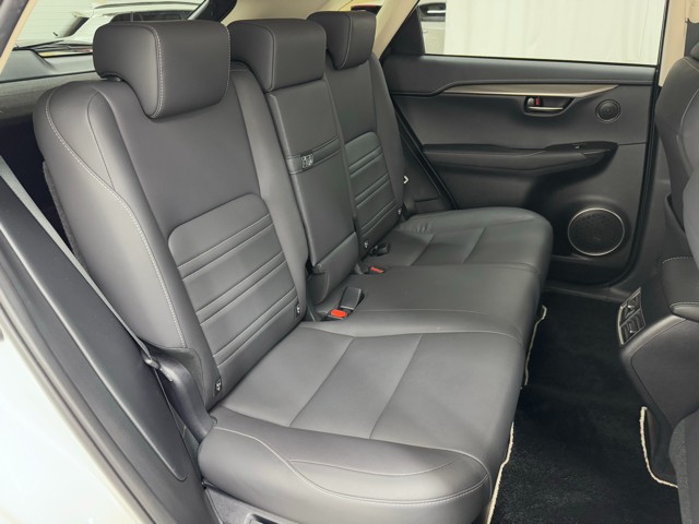 レクサス NX300h ブラックシークエンス