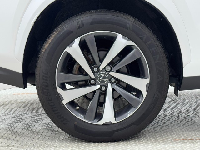 レクサス NX300h ブラックシークエンス