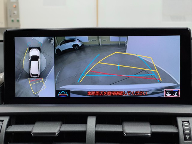 レクサス NX300h ブラックシークエンス