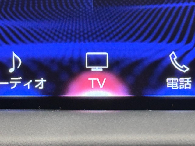 レクサス RX300 Fスポーツ