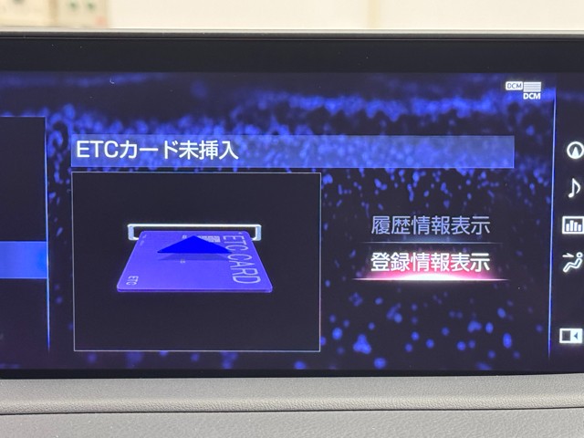 レクサス RX300 Fスポーツ