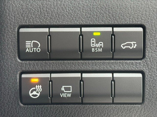 レクサス NX300 ブロンズエディション