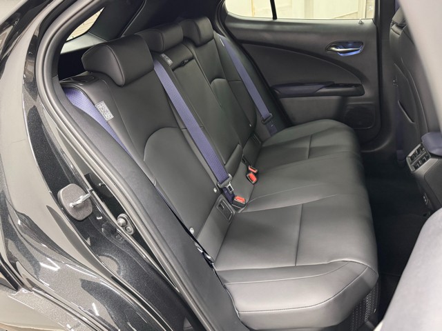 レクサス UX250h Fスポーツスタイルブル