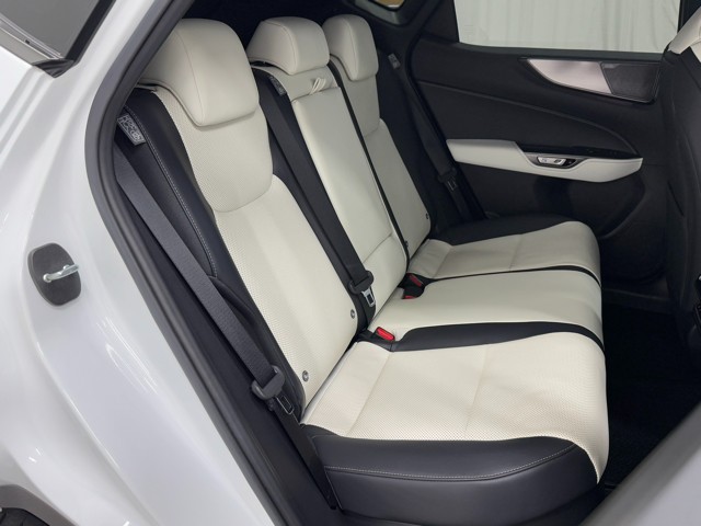 レクサス NX350h F SPORT