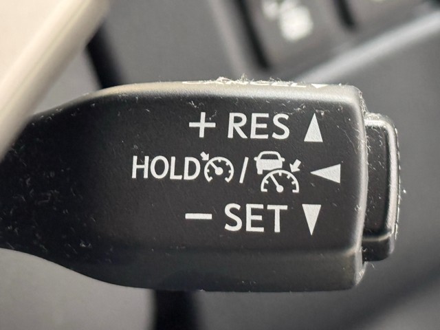 レクサス NX300 バージョンL