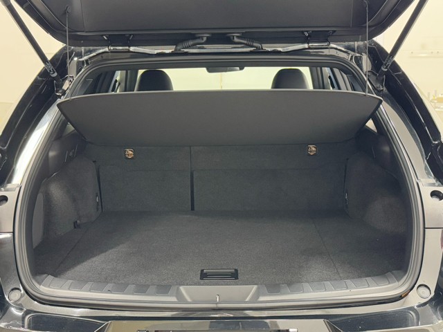 レクサス UX250h バージョンC