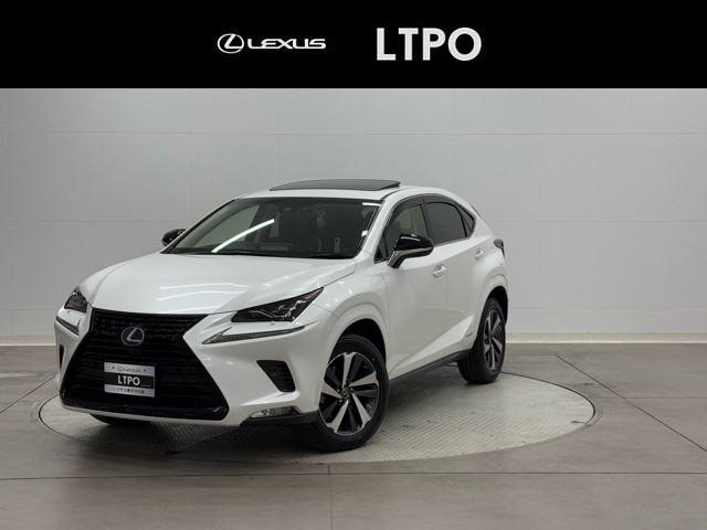 NX300h ブラックシークエンス