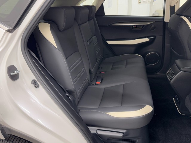 レクサス NX300h ブラックシークエンス