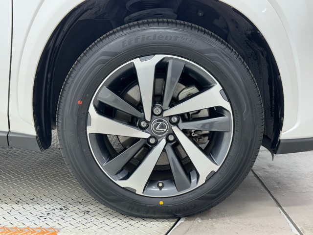 レクサス NX300h ブラックシークエンス