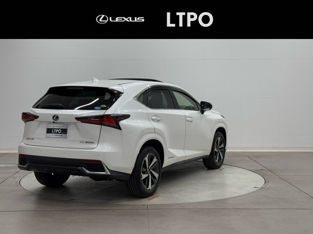 レクサス NX300h ブラックシークエンス