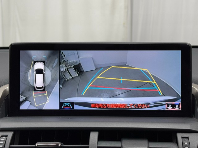 レクサス NX300h ブラックシークエンス