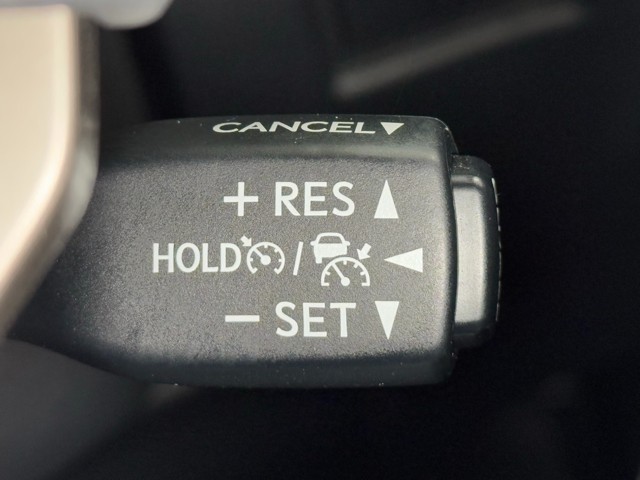 レクサス NX300h Spice&Chic