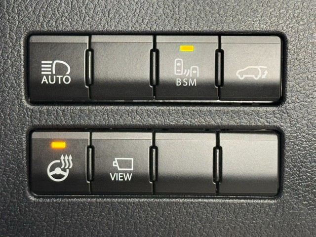 レクサス NX300h Spice&Chic