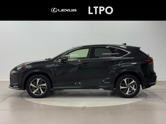 レクサス NX300h Spice&Chic