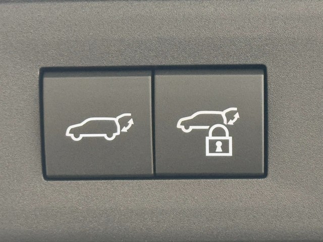 レクサス NX250 VersionL