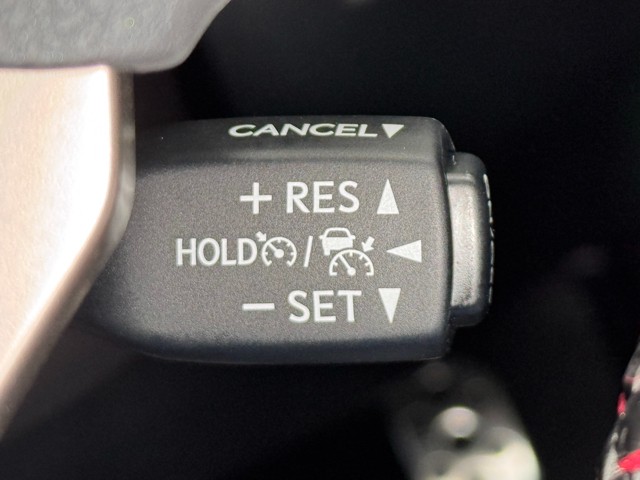 レクサス NX300 F SPORT