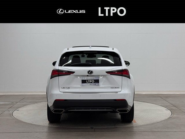 レクサス NX300 F SPORT