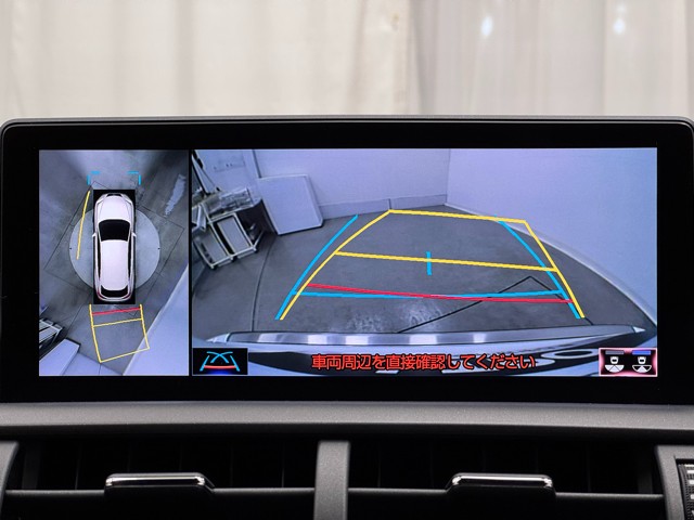 レクサス NX300 F SPORT