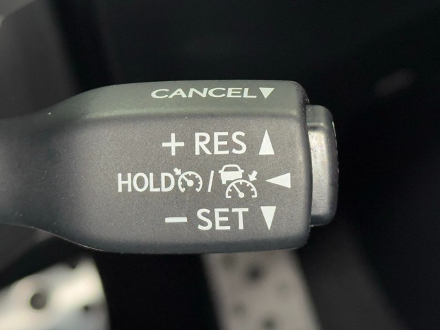 レクサス RX300 Fスポーツ