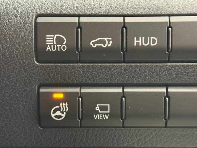 レクサス RX300 Fスポーツ