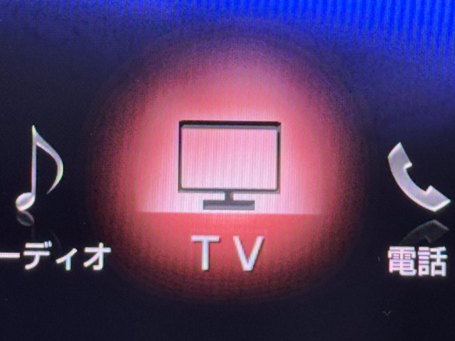 レクサス RX300 F SPORT