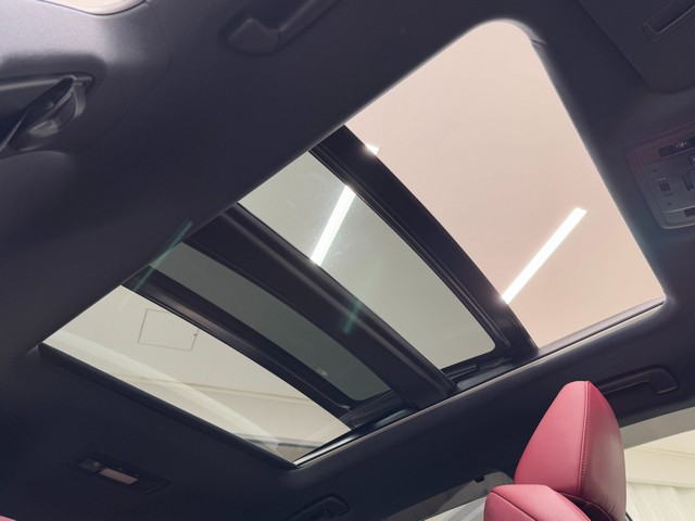 レクサス RX300 F SPORT