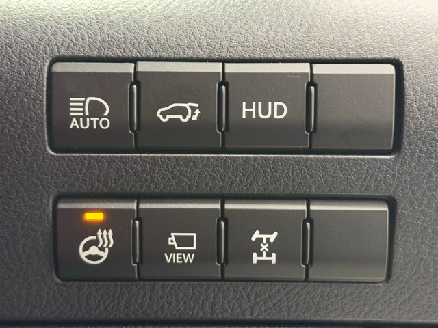 レクサス RX300 F SPORT