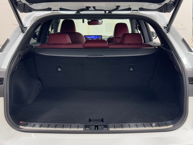 レクサス RX300 F SPORT