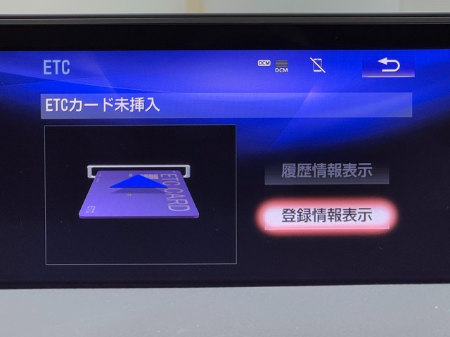 レクサス RX300 F SPORT