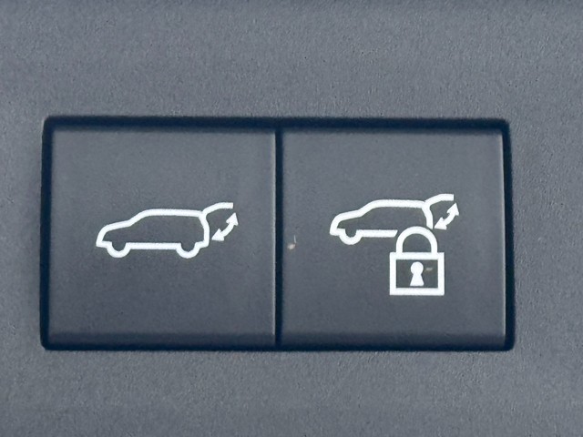 レクサス NX450h+ Fスポーツ